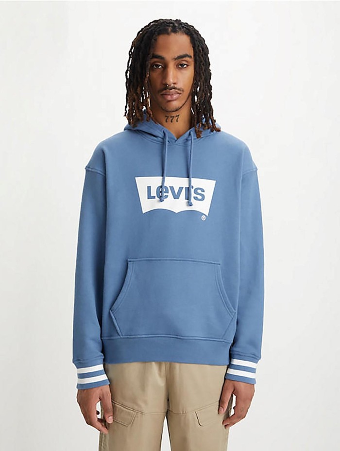 Sudadera Levi's® Relaxed Graphic Hoodie 38479-0121