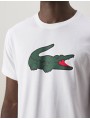 CAMISETA-LACOSTE-TH7513-00-2D8