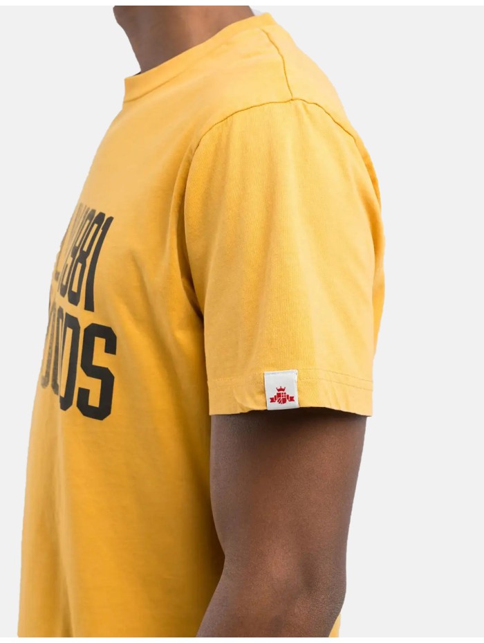 CAMISETA-REPLAY-M3027 .000.23806G-547