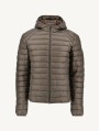 PLUMAS JOTT NICO NOS 808 TAUPE